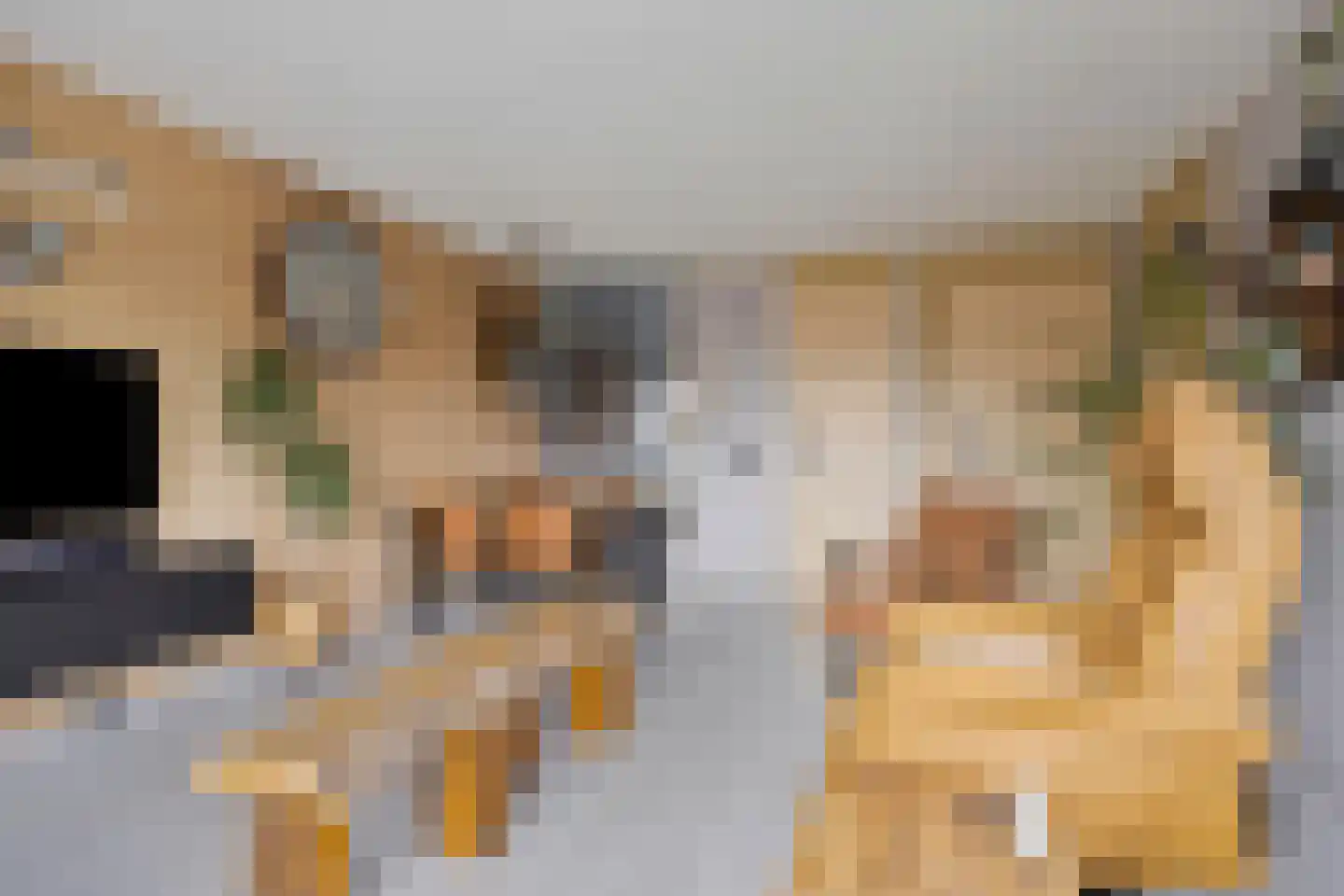 Schipluidenlaan 8 Tilburg thumbnail 15
