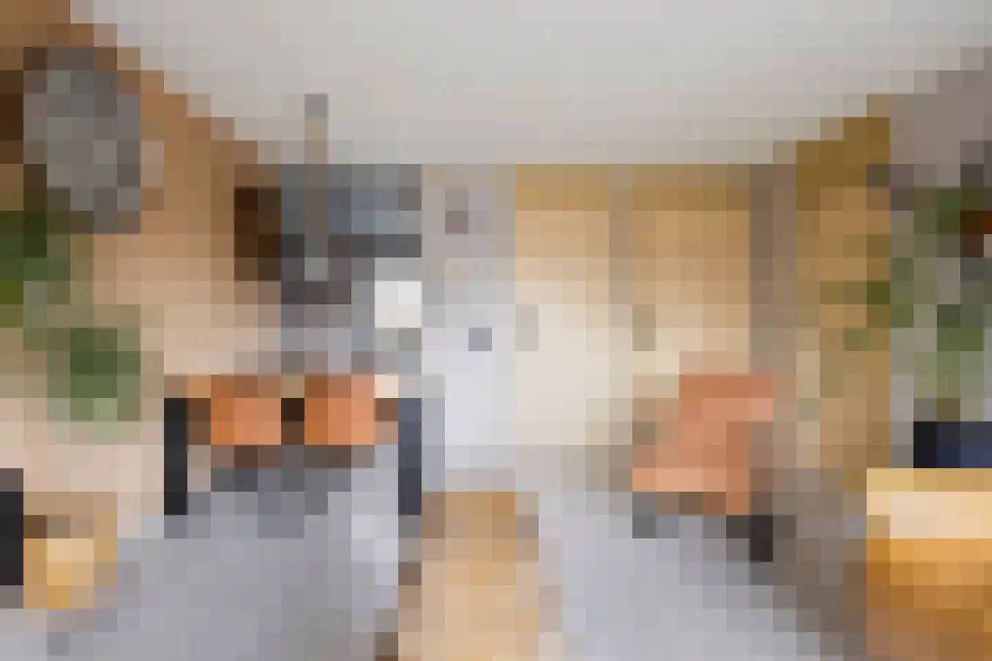 Schipluidenlaan 8 Tilburg thumbnail 16