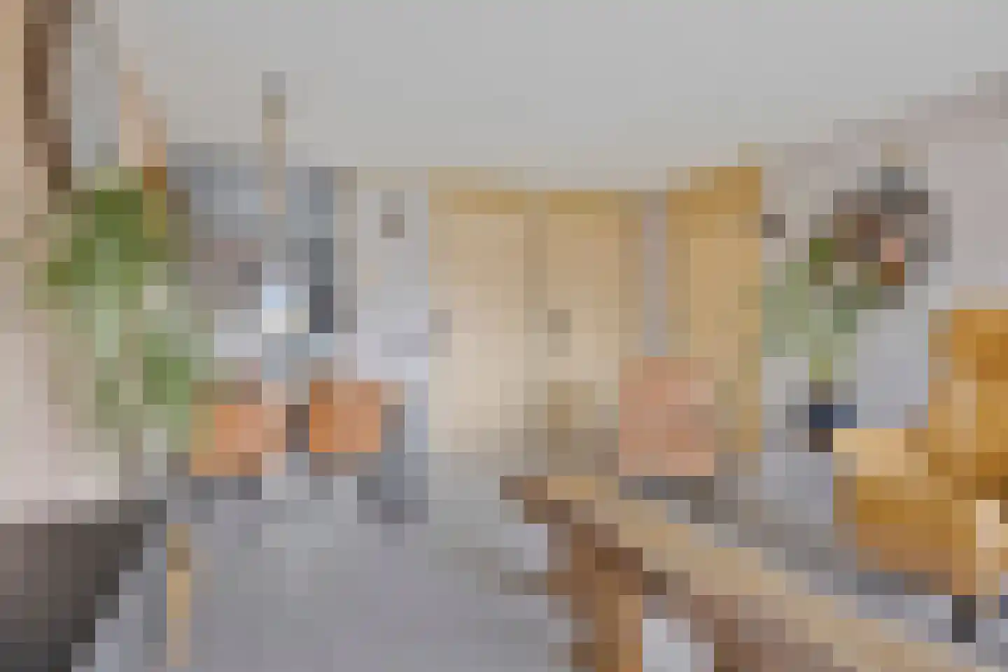 Schipluidenlaan 8 Tilburg thumbnail 17