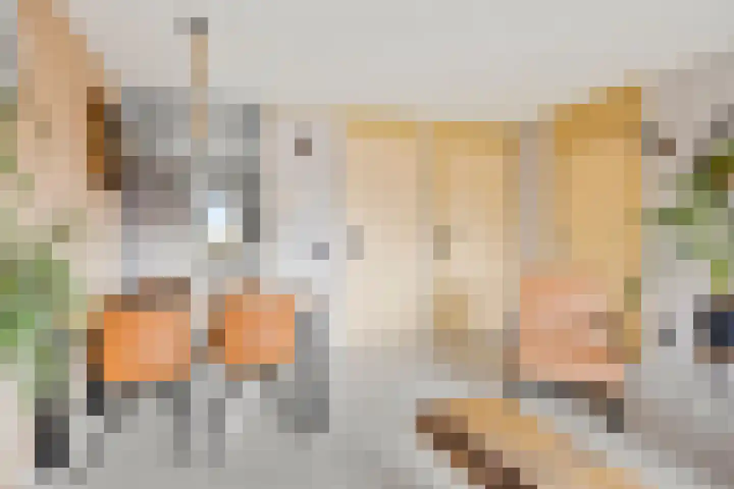 Schipluidenlaan 8 Tilburg thumbnail 18