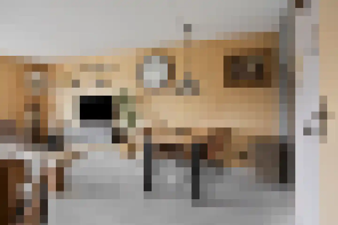 Schipluidenlaan 8 Tilburg thumbnail 19