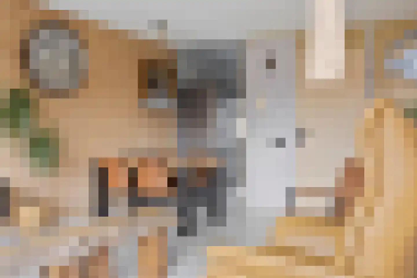 Schipluidenlaan 8 Tilburg thumbnail 20
