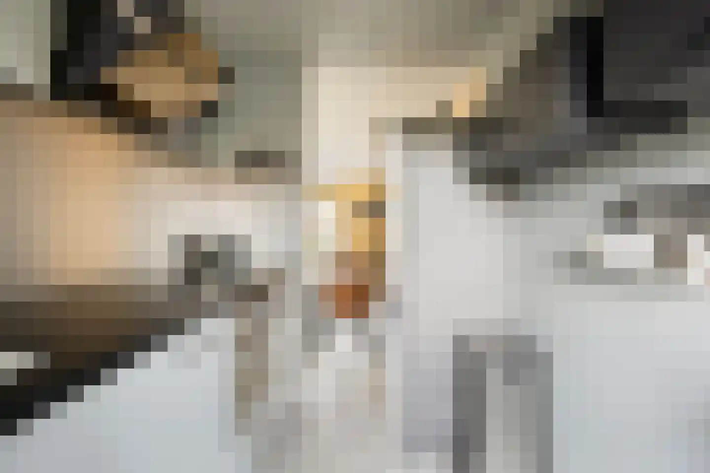 Schipluidenlaan 8 Tilburg thumbnail 23