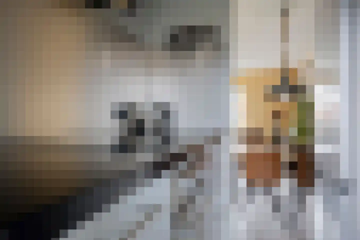 Schipluidenlaan 8 Tilburg thumbnail 24