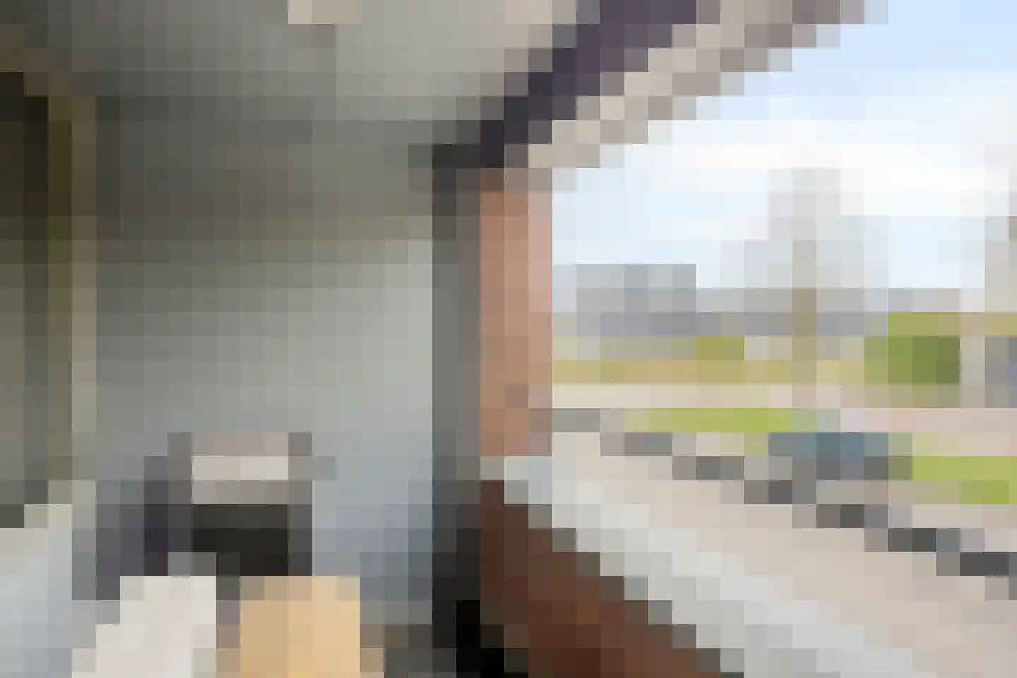 Schipluidenlaan 8 Tilburg thumbnail 26
