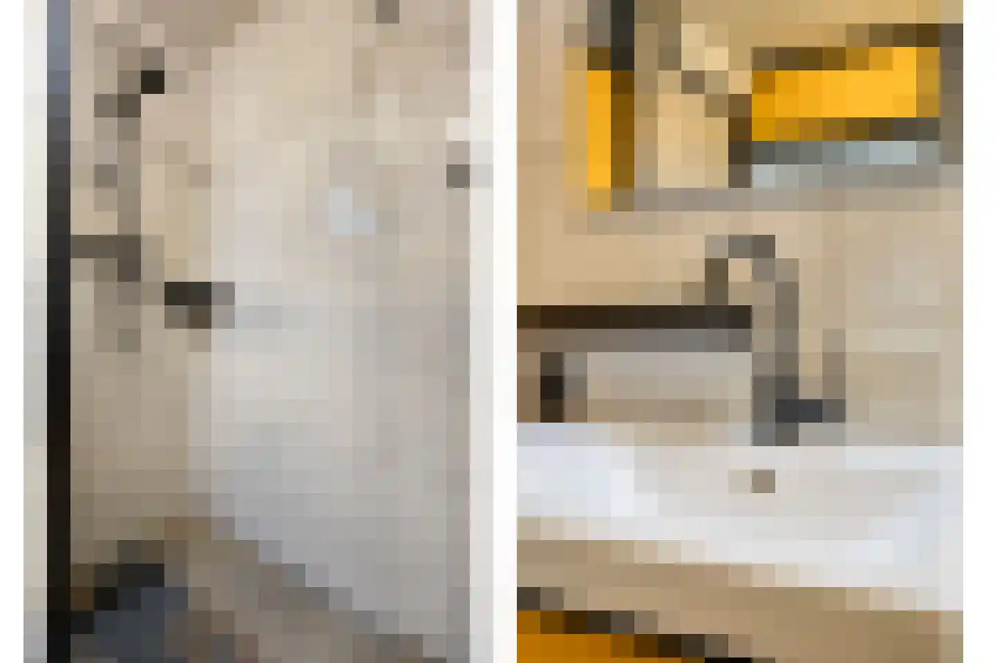 Schipluidenlaan 8 Tilburg thumbnail 32