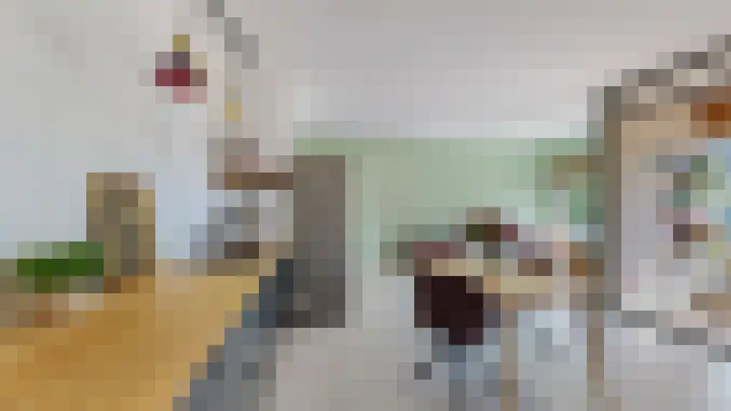 Schipluidenlaan 82 Amsterdam thumbnail 12