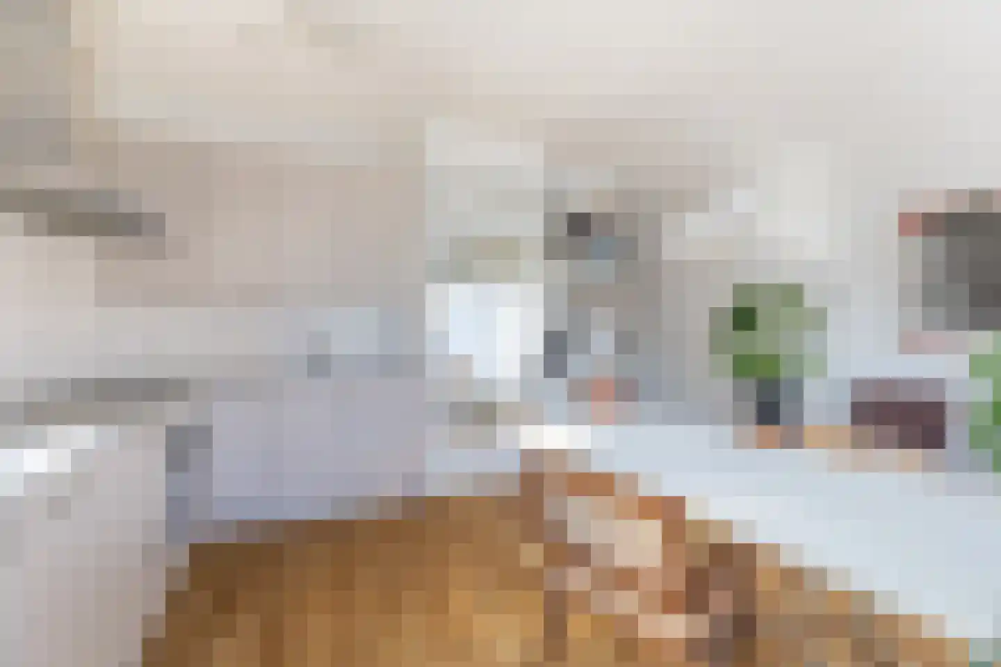 Schipluidenlaan 88 Amsterdam thumbnail 13