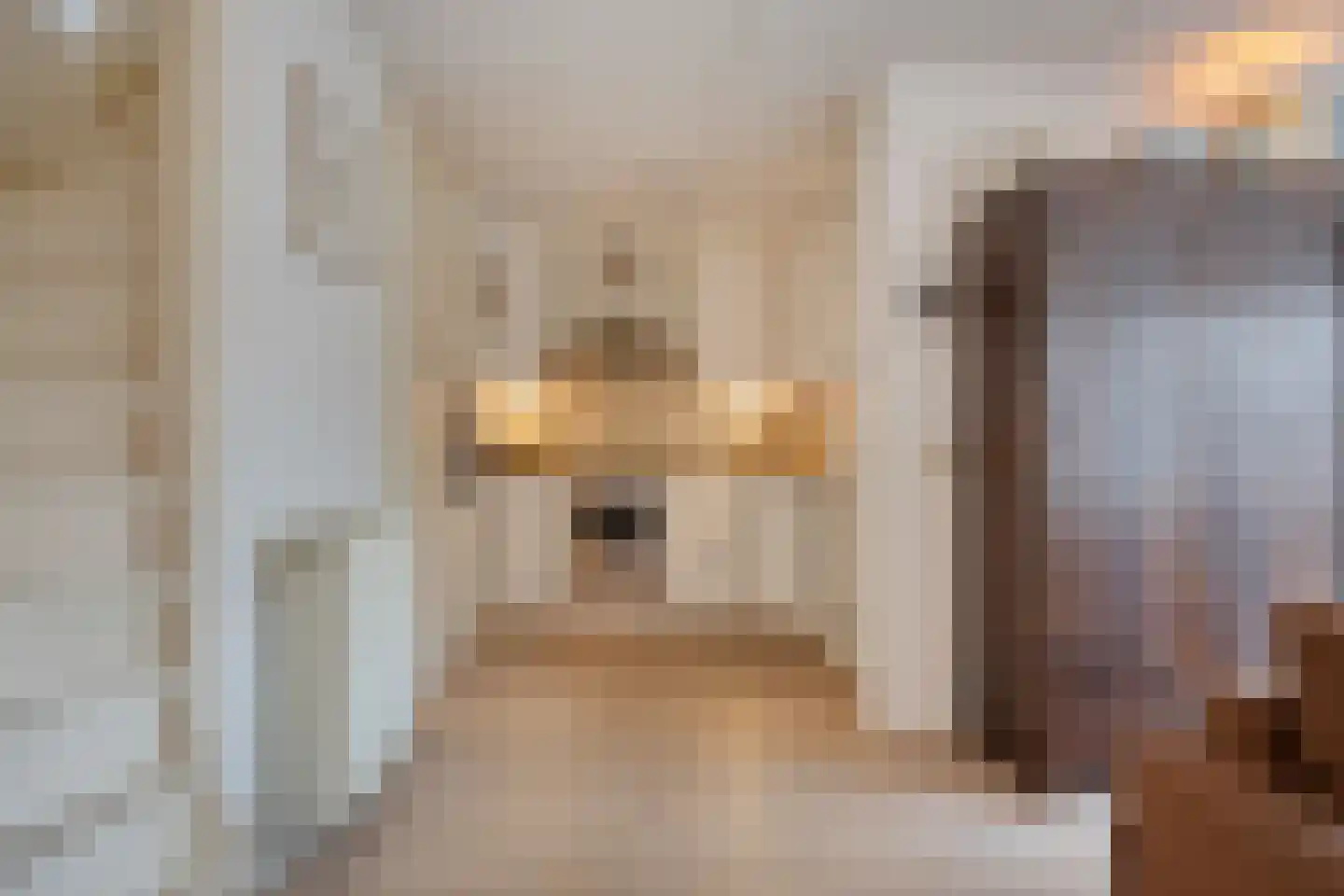Schipluidenlaan 91 Tilburg thumbnail 17