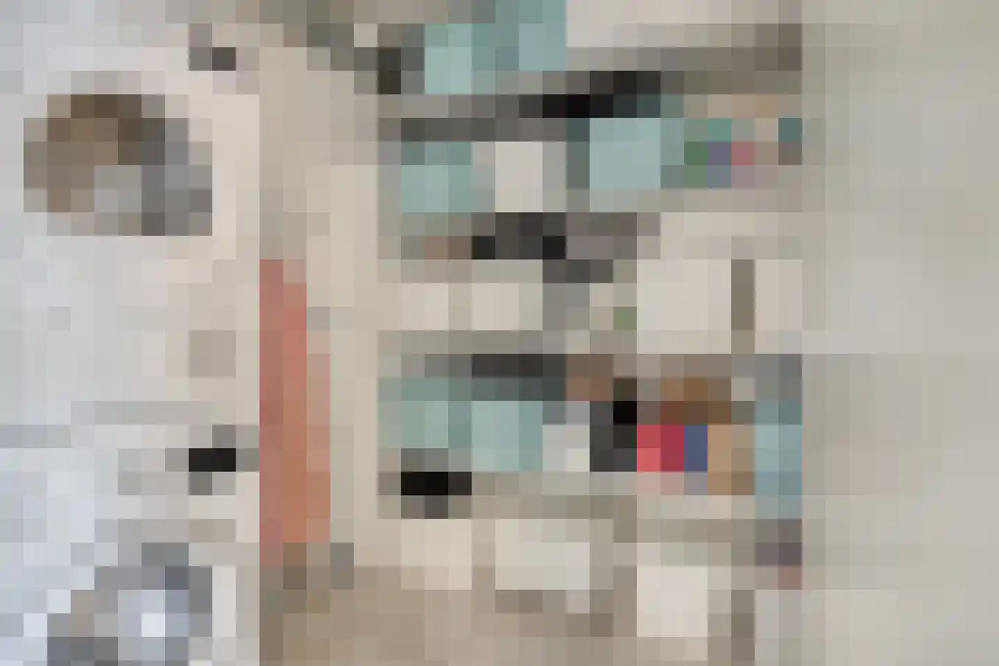 Schipluidenlaan 91 Tilburg thumbnail 28
