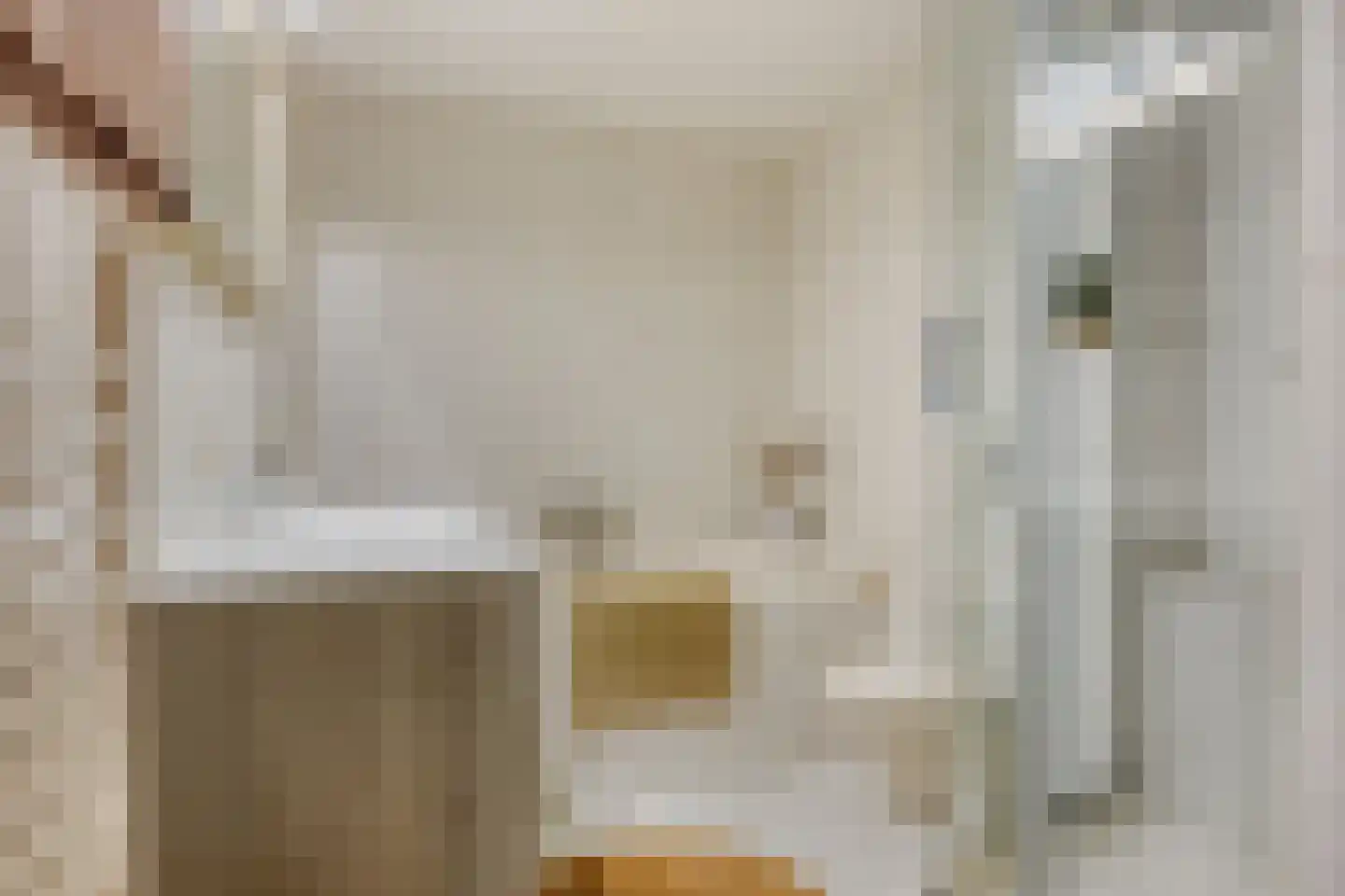 Schipluidenlaan 91 Tilburg thumbnail 4
