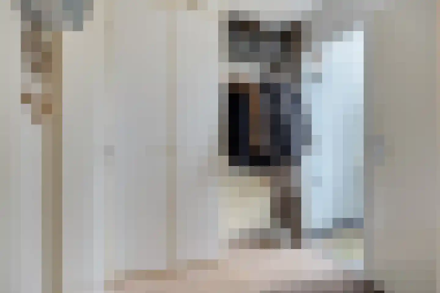 Schipluidenlaan 91 Tilburg thumbnail 8