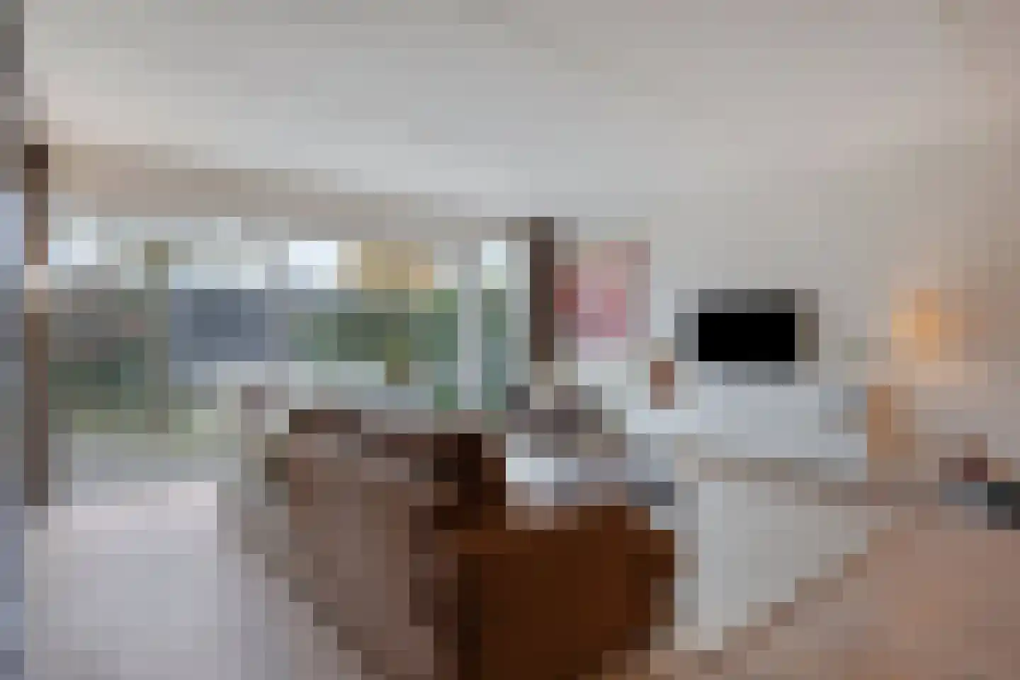 Schipluidenlaan 91 Tilburg thumbnail 9