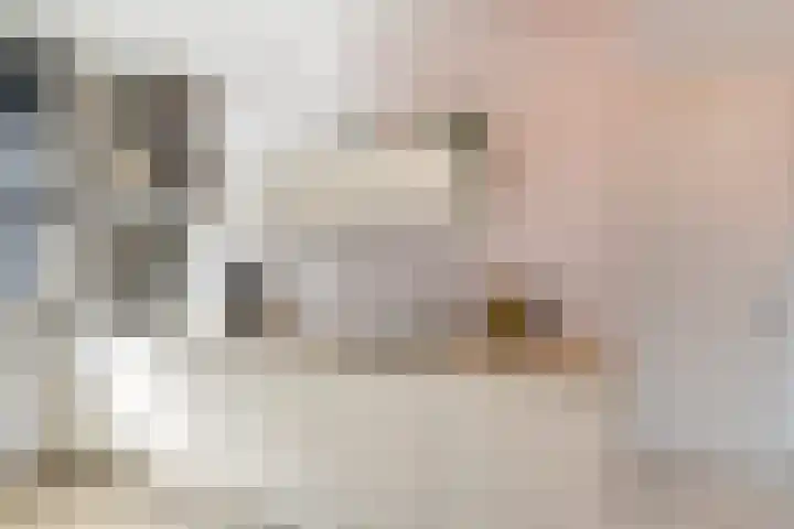 Schipluidersluis 13 Vlaardingen thumbnail 14