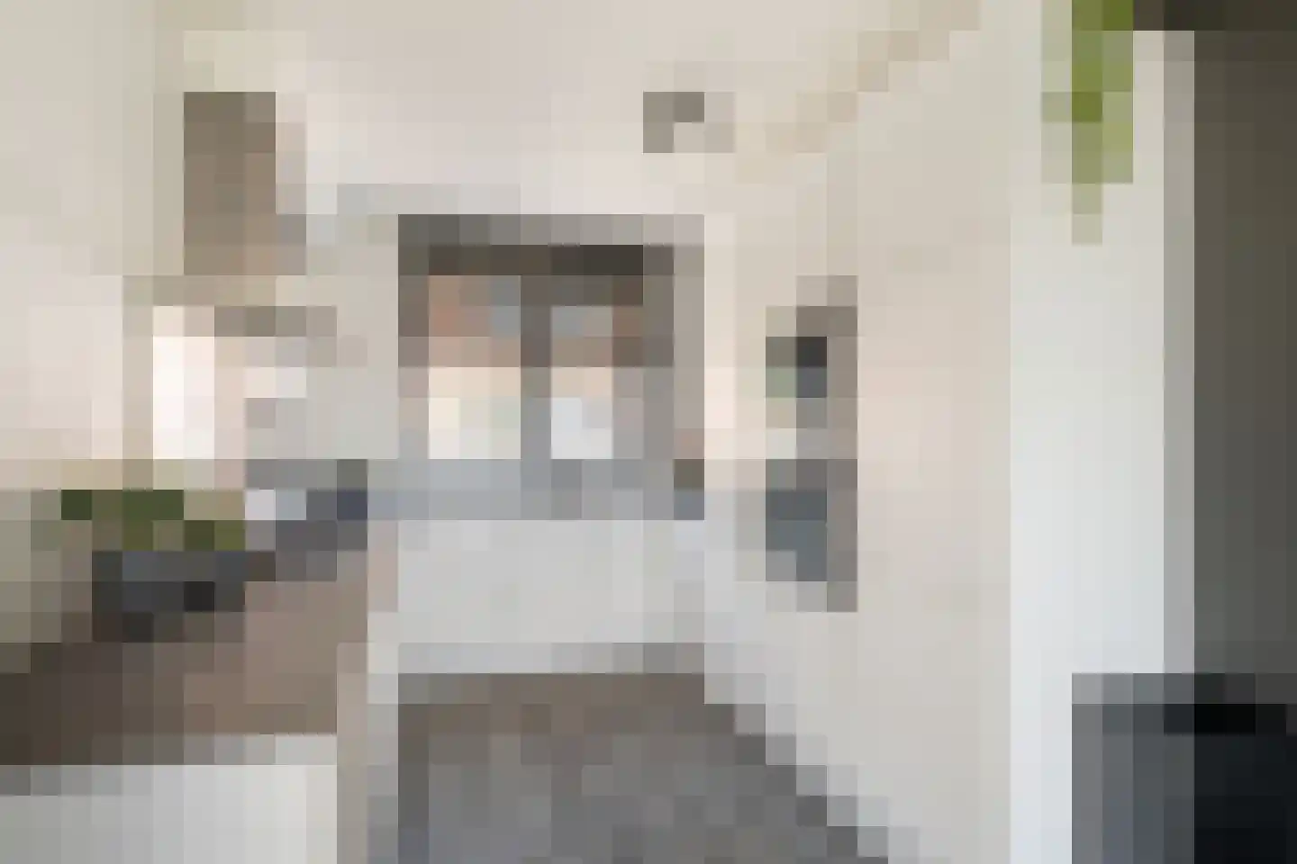 Schipluidersluis 15 Vlaardingen thumbnail 13