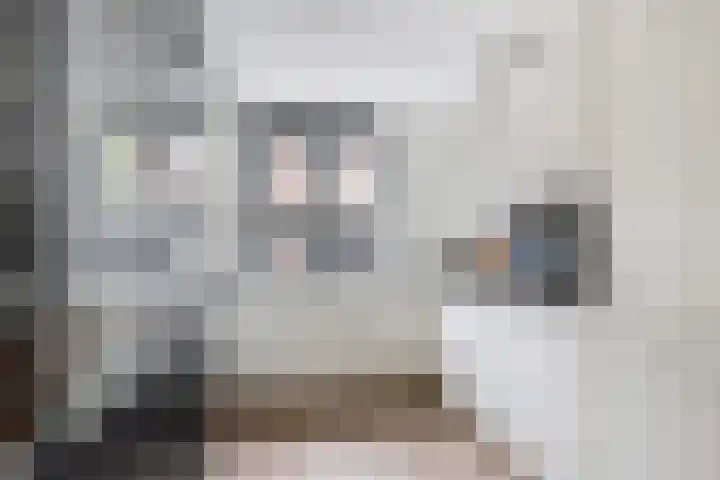 Schipluidersluis 16 Vlaardingen thumbnail 27