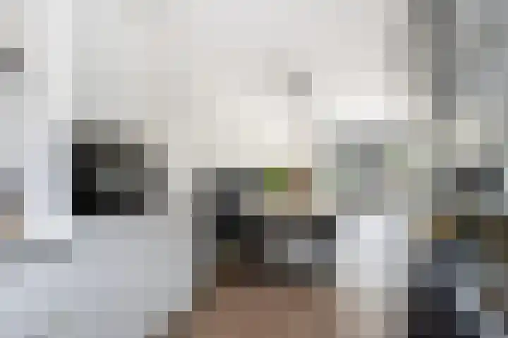 Schipluidersluis 16 Vlaardingen thumbnail 30
