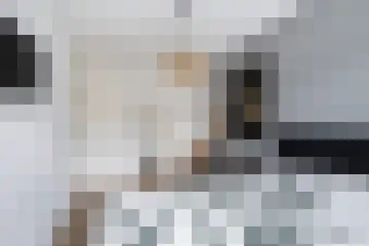 Schipluidersluis 16 Vlaardingen thumbnail 43