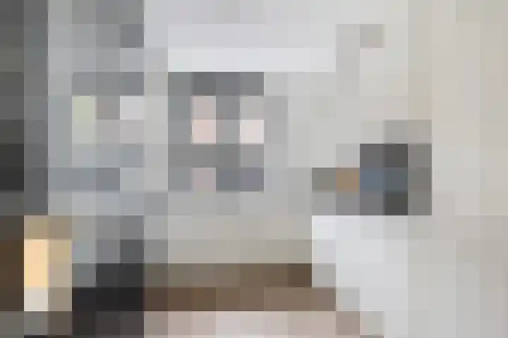 Schipluidersluis 16 Vlaardingen thumbnail 5