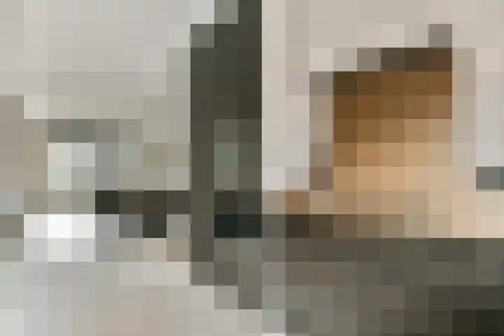 Schipluidersluis 8 Vlaardingen thumbnail 13