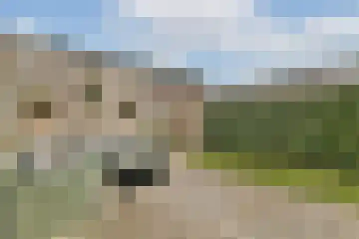 Schipluidersluis 8 Vlaardingen thumbnail 15