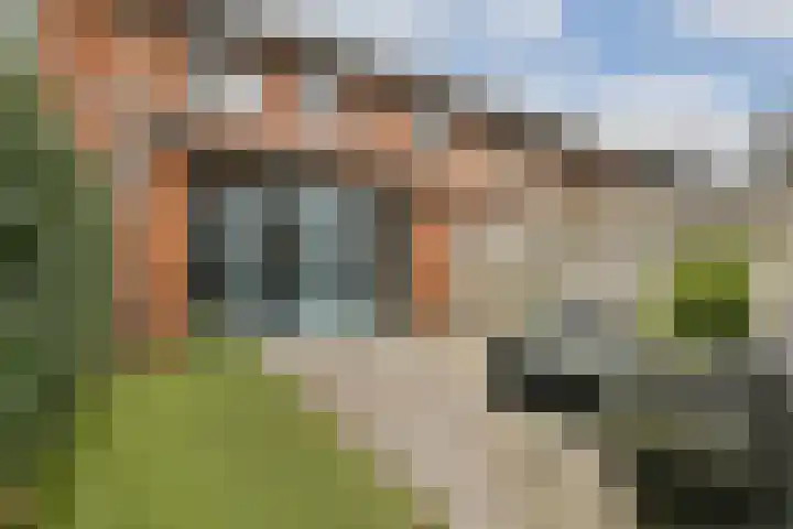 Schipluidersluis 8 Vlaardingen thumbnail 16