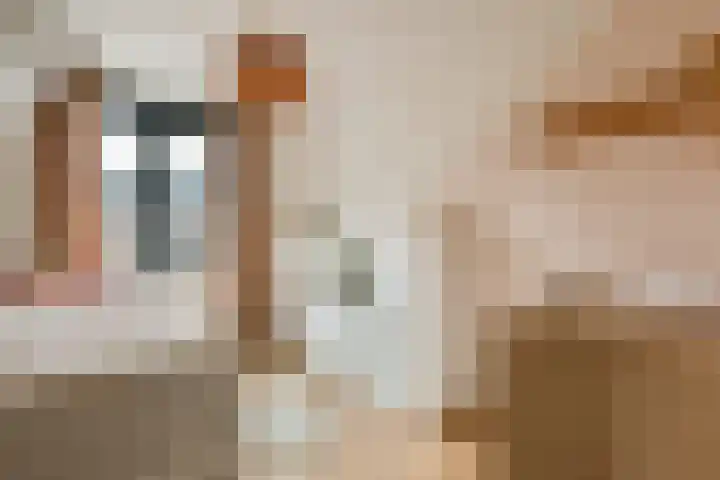 Schipluidersluis 8 Vlaardingen thumbnail 17