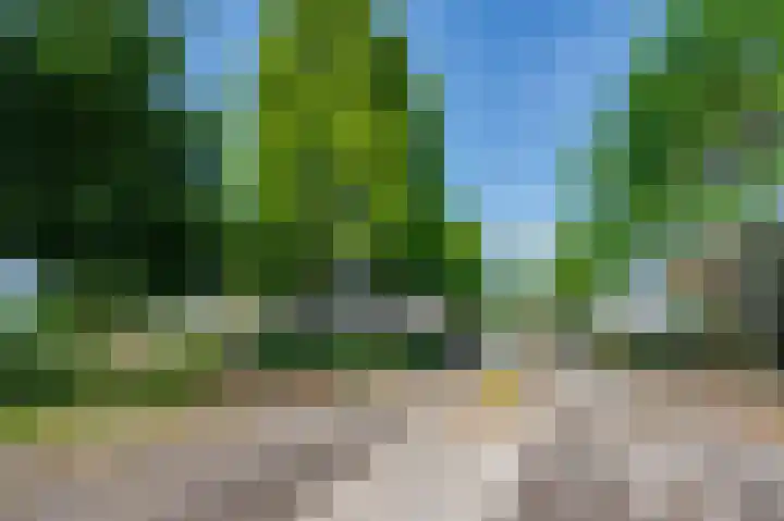 Schipmolen 4 Barendrecht thumbnail 35