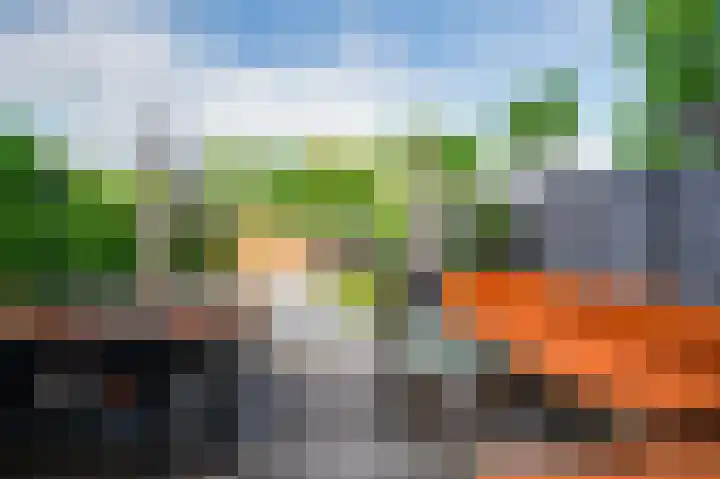 Schipmolen 4 Barendrecht thumbnail 5