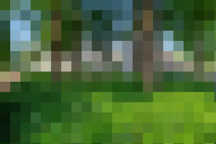 Schipmolen 4 Barendrecht thumbnail 7