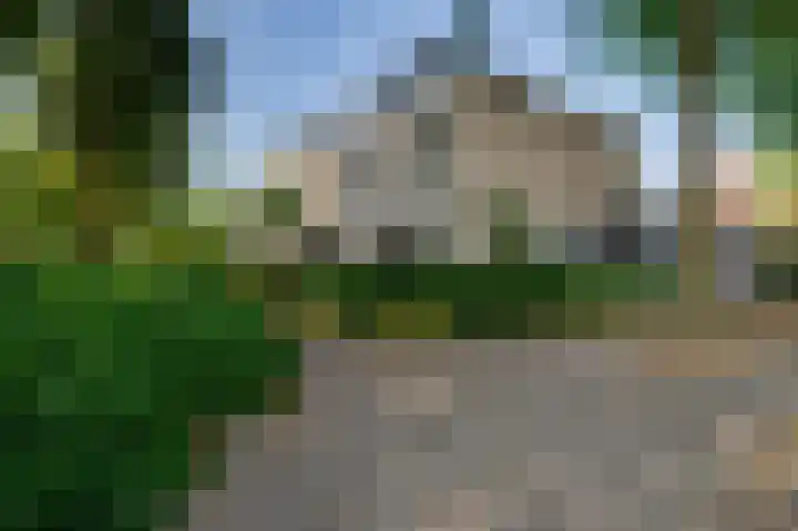 Schipmolen 4 Barendrecht thumbnail 8