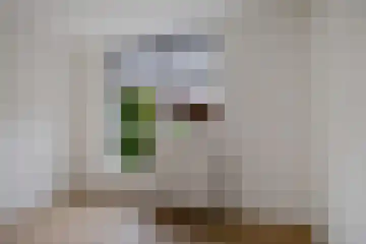 Schipper 19 Diever thumbnail 11