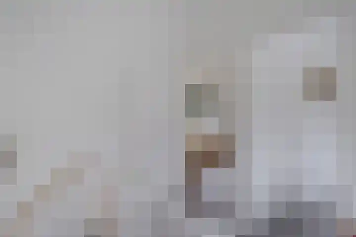 Schipper 19 Diever thumbnail 19