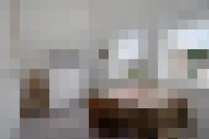 Schipper 19 Diever thumbnail 21