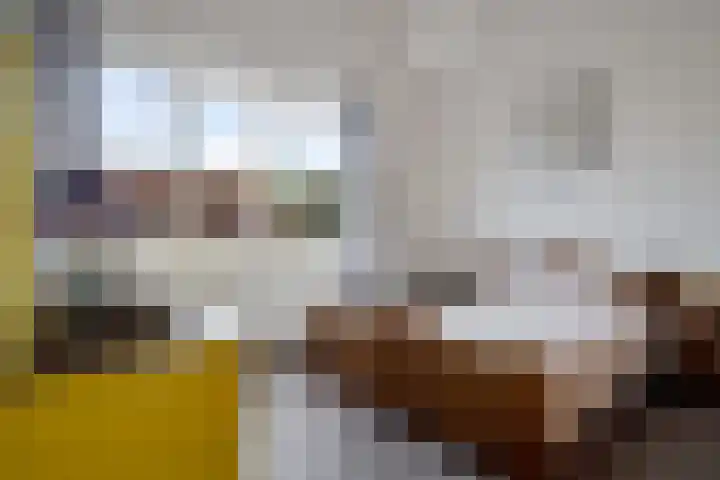 Schipper 19 Diever thumbnail 23