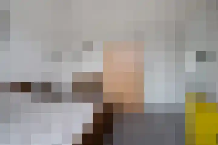 Schipper 19 Diever thumbnail 26