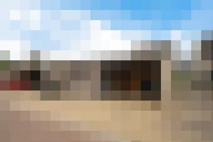 Schipper 19 Diever thumbnail 27
