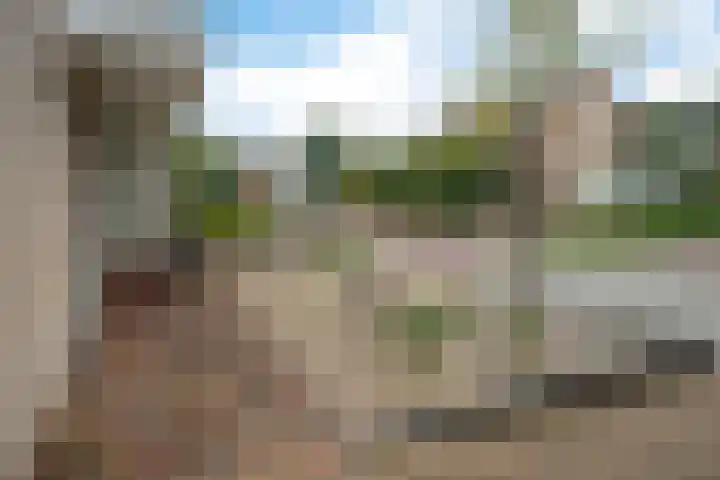 Schipper 19 Diever thumbnail 36