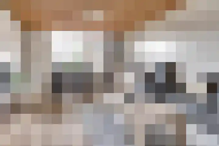 Schipper 19 Diever thumbnail 4