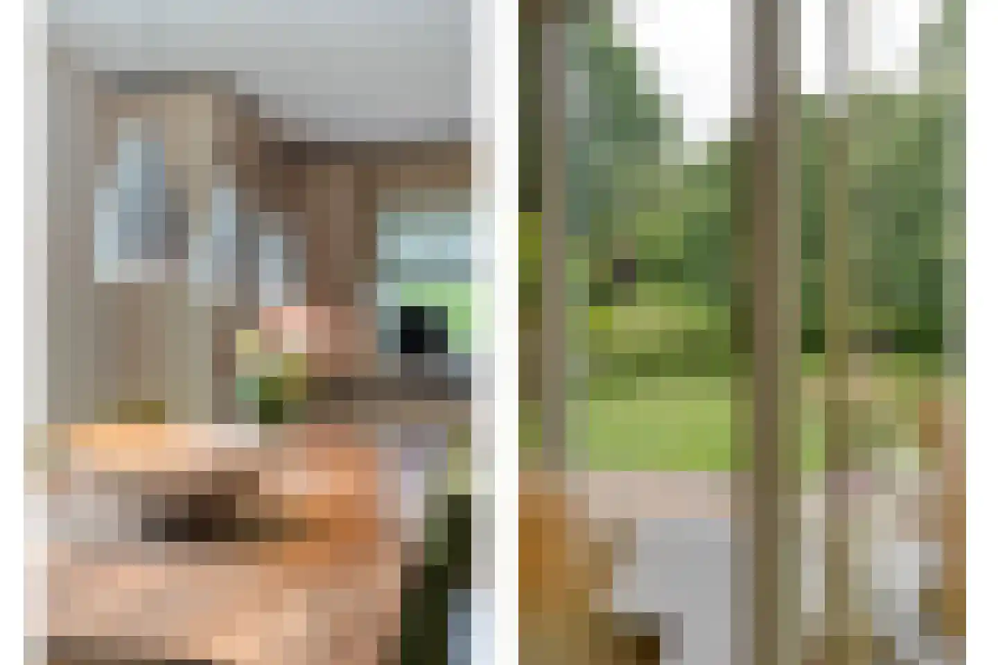 Schipper 3 Diever thumbnail 16