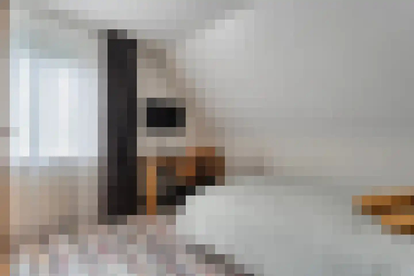 Schipper 3 Diever thumbnail 25
