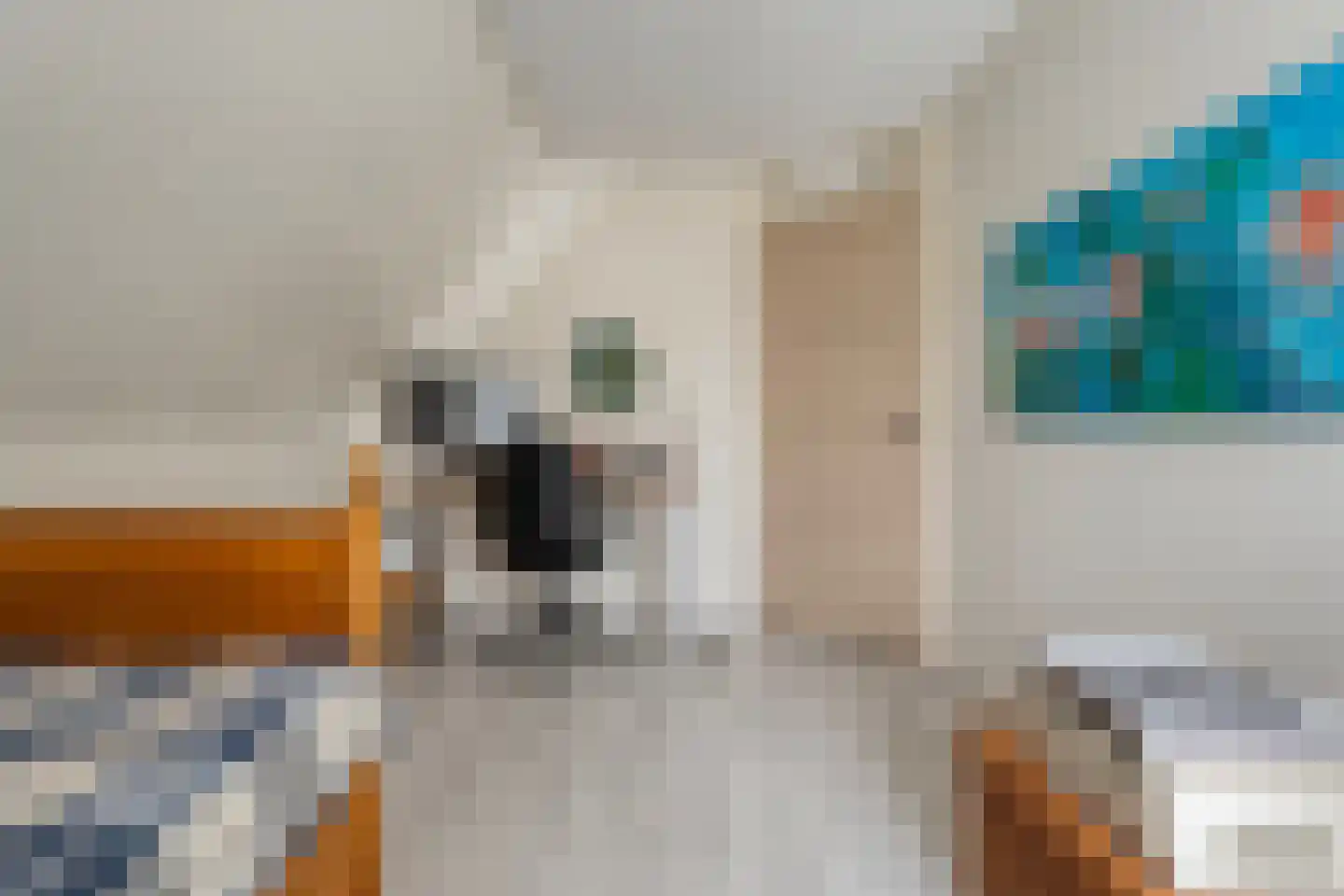 Schipper 3 Diever thumbnail 28