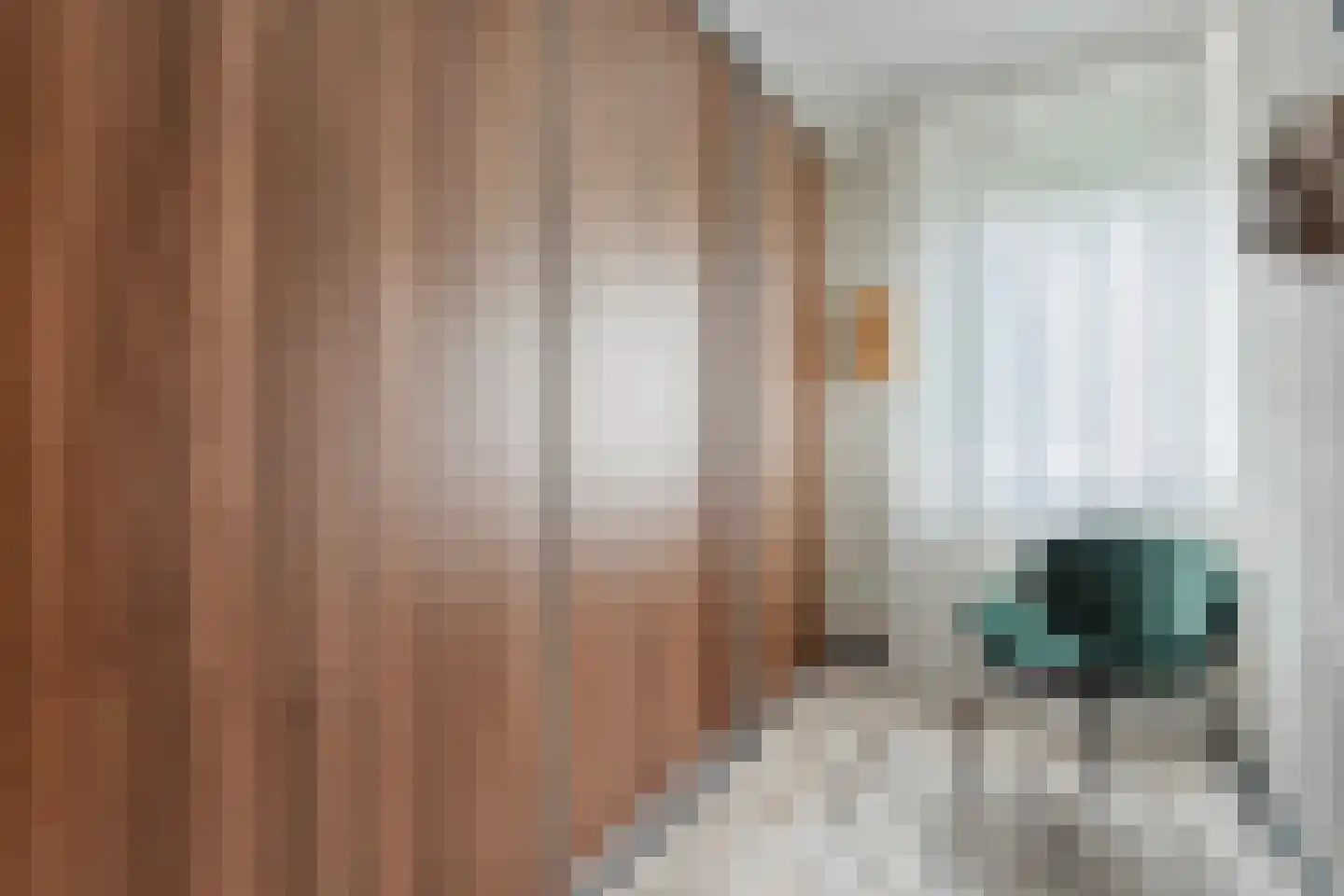 Schipper 3 Diever thumbnail 29