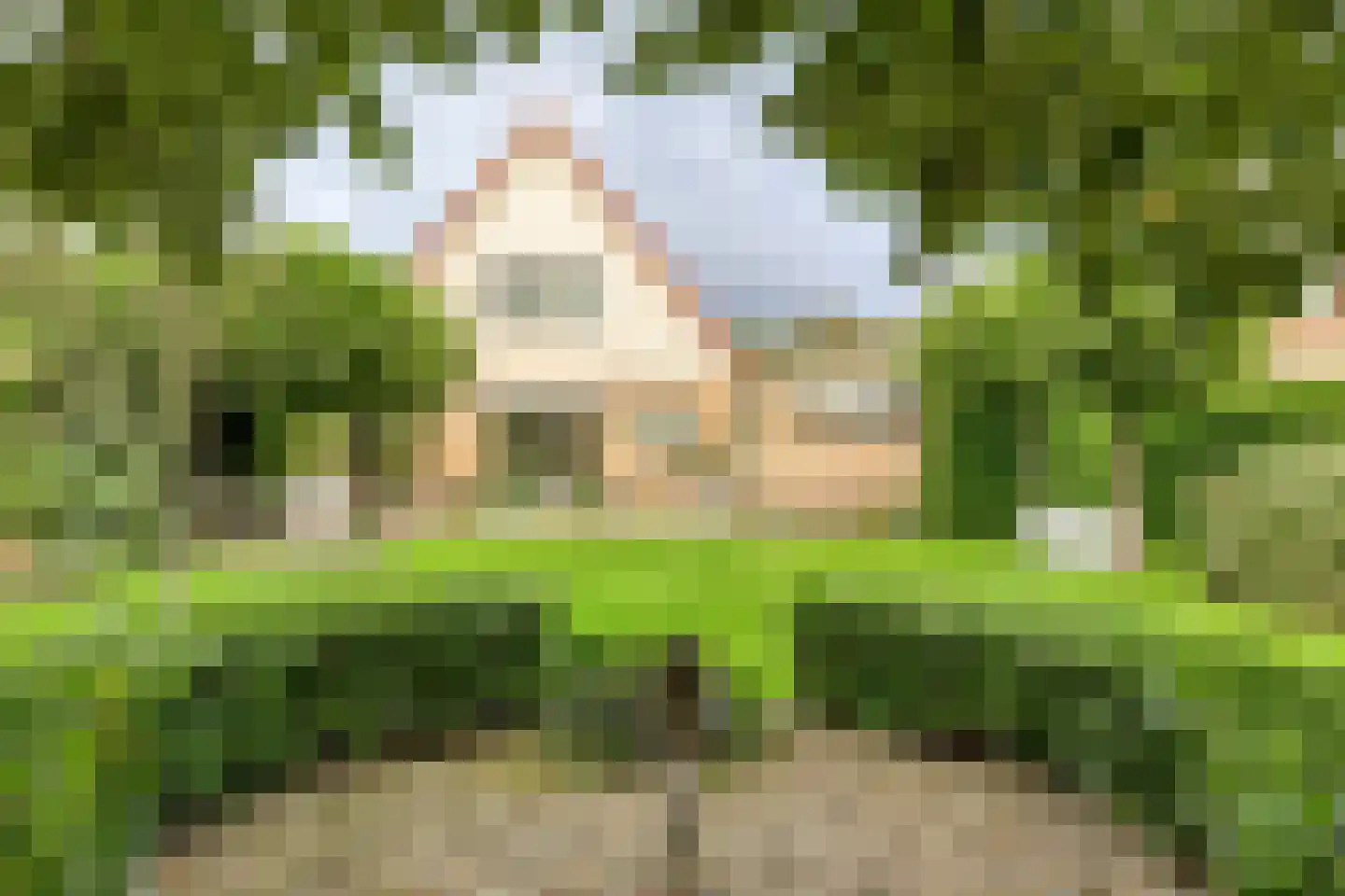 Schipper 3 Diever thumbnail 34