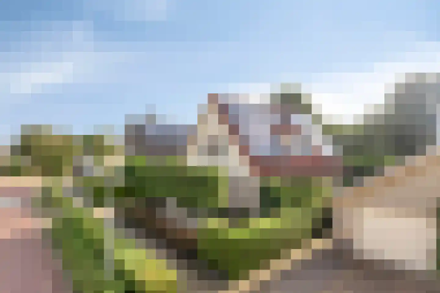 Schipper 3 Diever thumbnail 4