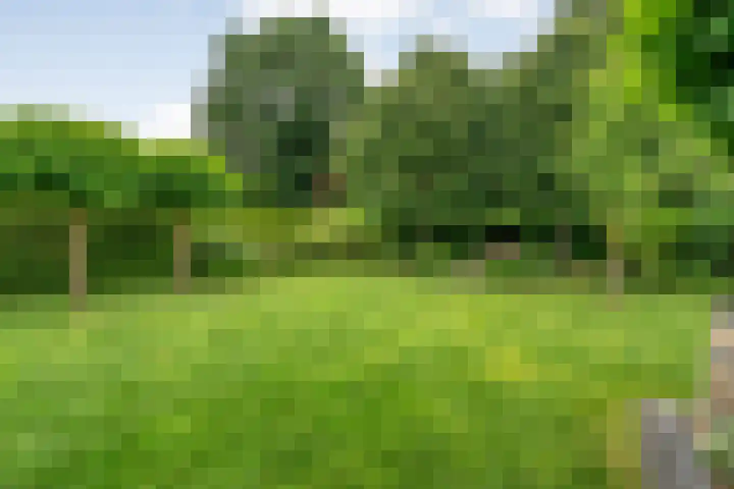 Schipper 3 Diever thumbnail 42