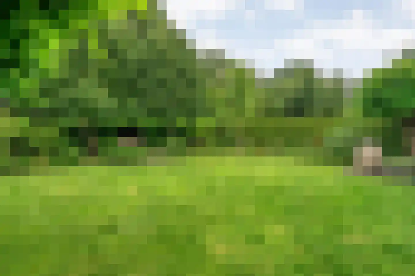 Schipper 3 Diever thumbnail 43