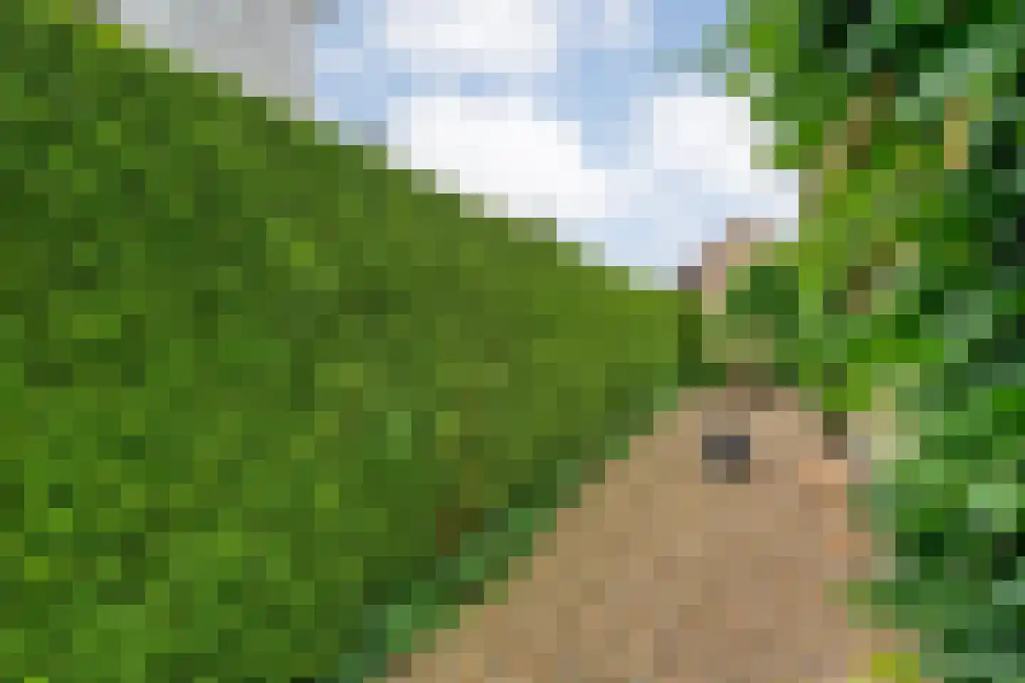 Schipper 3 Diever thumbnail 44