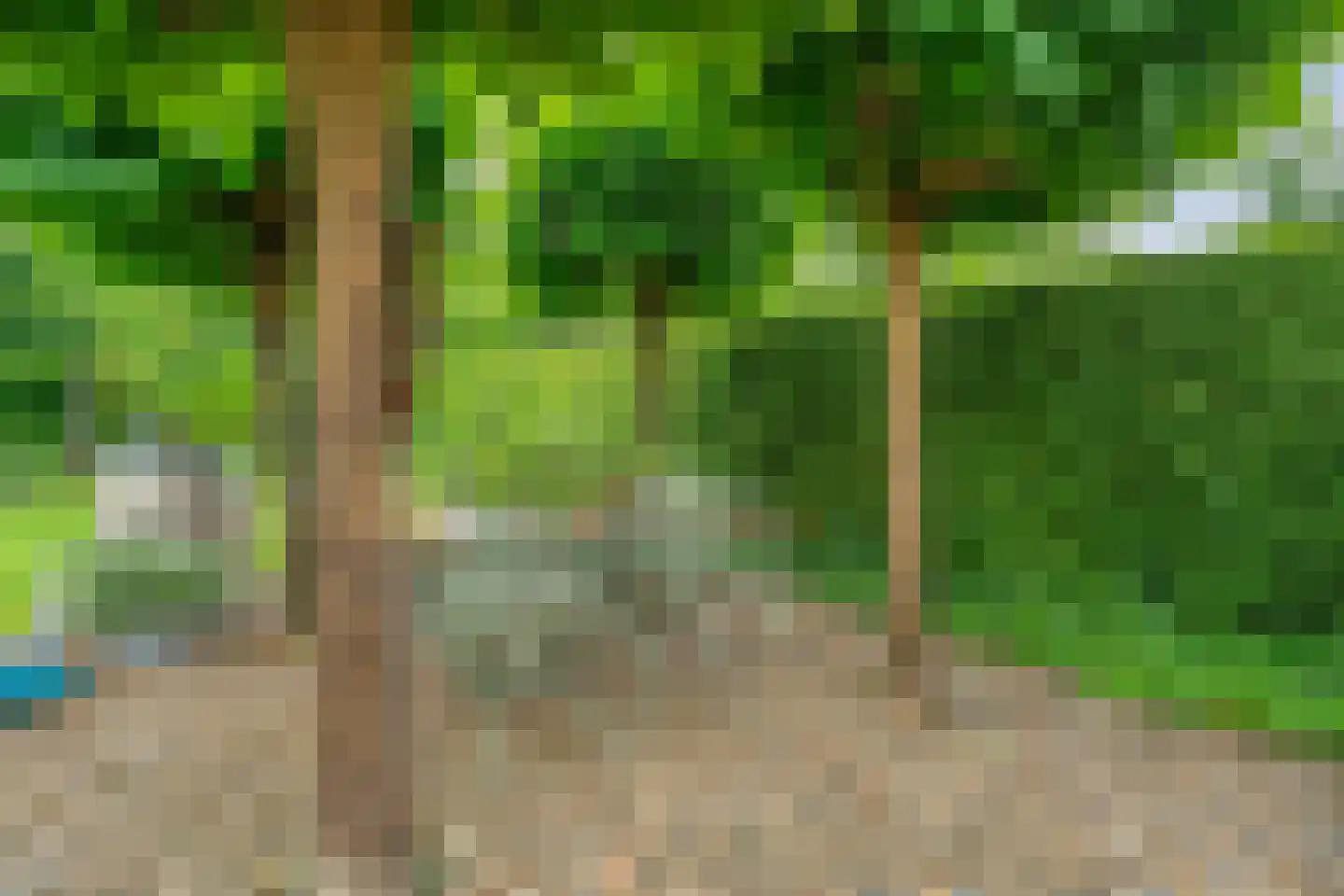 Schipper 3 Diever thumbnail 45