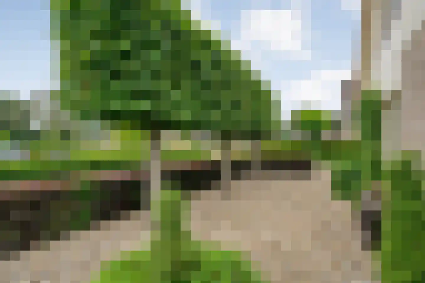 Schipper 3 Diever thumbnail 51